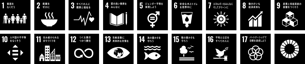 17 GOALS OF SDGs