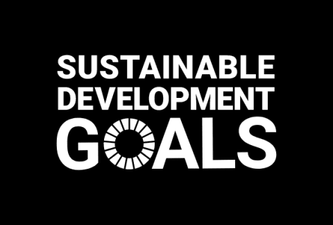 Sustainable Development Goals