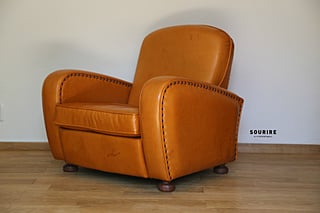 HORSE LEATHER 
